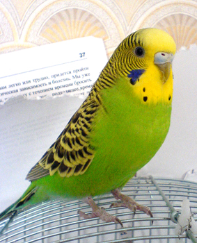 DSC01120.jpg