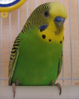 x_8e699e43.jpg
