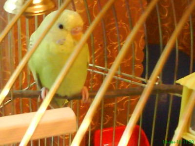 DSC00825.JPG