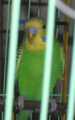 SDC10264.JPG
