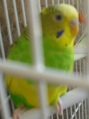 CIMG0657.JPG