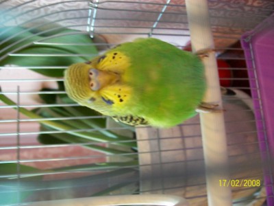 100_1052.jpg