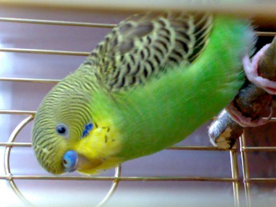 22062010025.jpg