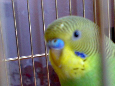 22062010024.jpg