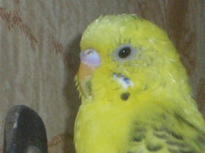 CIMG00.JPG