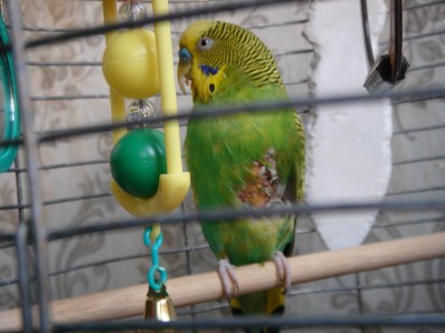 dsc01772_измен.размер.jpg