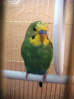 DSC00745.jpg
