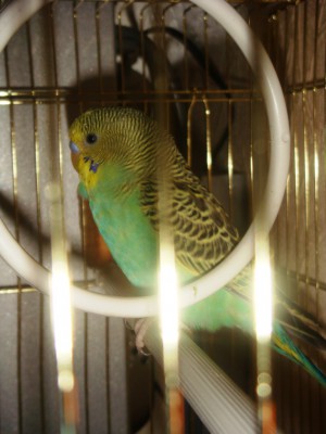 DSC00742.JPG