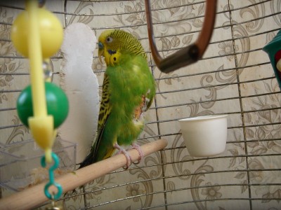 dsc01767_измен.размер.jpg