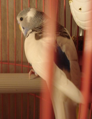 DSC07748.JPGкепм.jpg