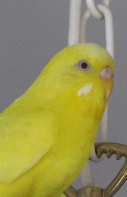 IMG_7047.JPG