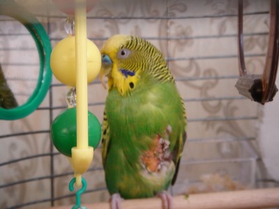 dsc01769_измен.размер.jpg