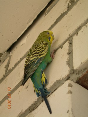 DSCN3568.JPG