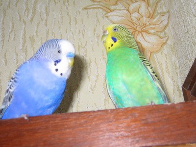 IMG_0341.jpg