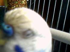 Photo-0050.jpg