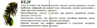 Копия сканирование0002.jpg