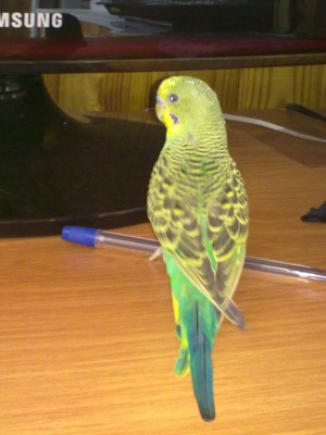 08072010.jpg
