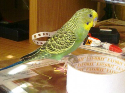 08072010011.jpg