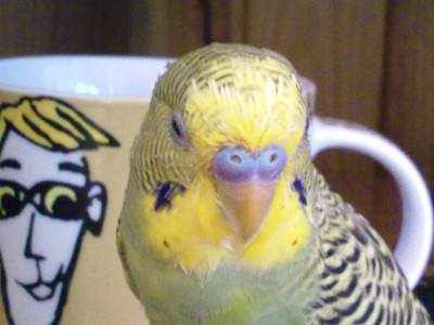 08072010010.jpg