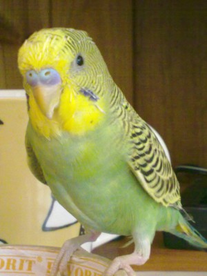 08072010003.jpg