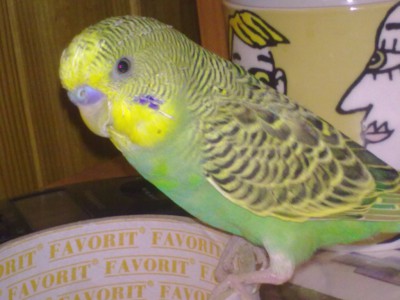 08072010008.jpg