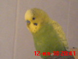 DSC01199.JPG
