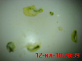 DSC01195.JPG
