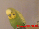 DSC01198.JPG