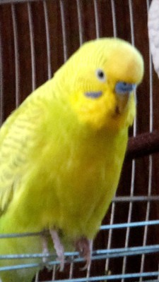 DSC00655.jpg