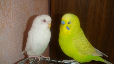 DSC00844.jpg