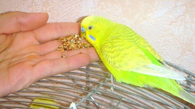 DSC00838.jpg
