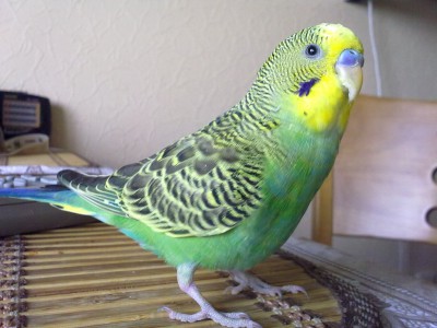 14072010049.jpg