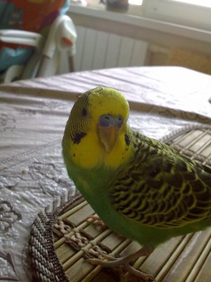 14072010047.jpg