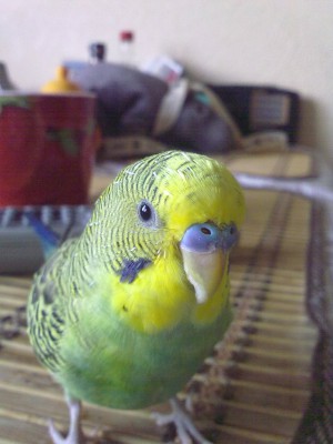 14072010048.jpg