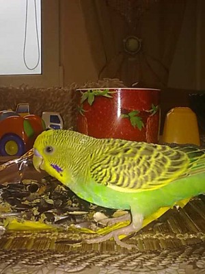 14072010060.jpg
