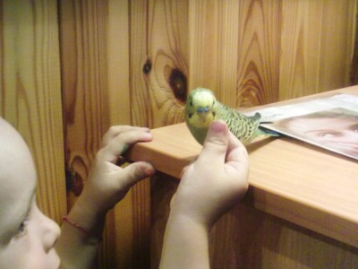 10072010018.jpg