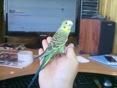 08072010015.jpg