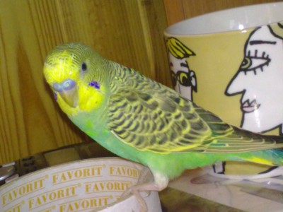 08072010005.jpg