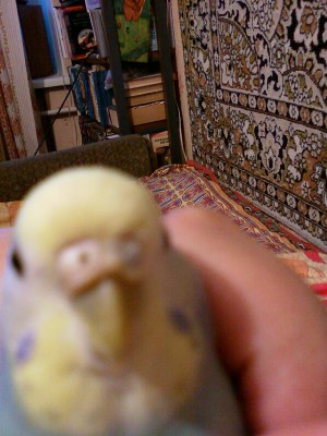 JPG0647ИзмА.JPG