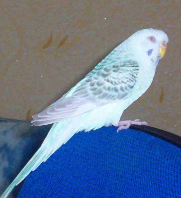 100_6440.jpg