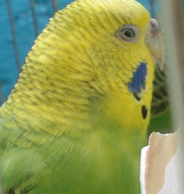 SP_A0012.jpg