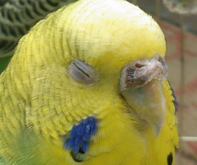 SP_A0013.jpg