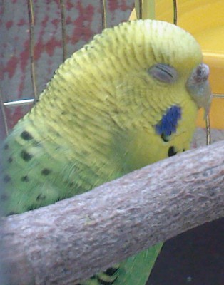 SP_A0010.jpg