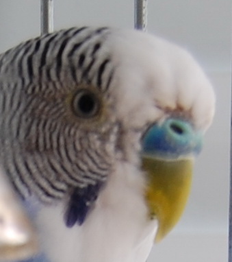 DSC_0026.JPG