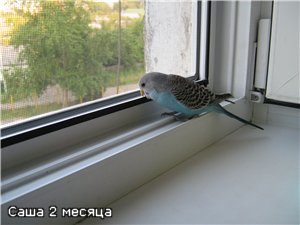 e9818ae0168a.jpg