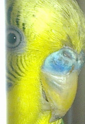 g.jpg