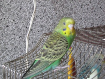 x_47950749.jpg