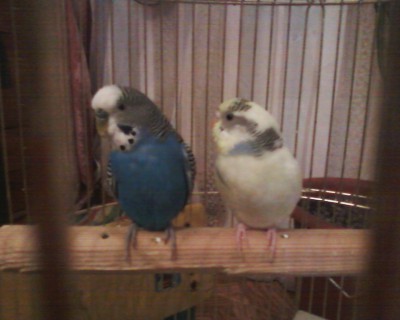 Фото-0002.jpg