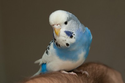 IMG_1524++.jpg