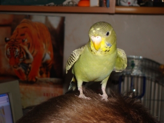 DSC04211.JPG